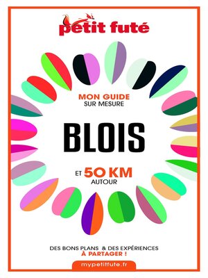 cover image of BLOIS ET 50 KM AUTOUR 2021 Carnet Petit Futé